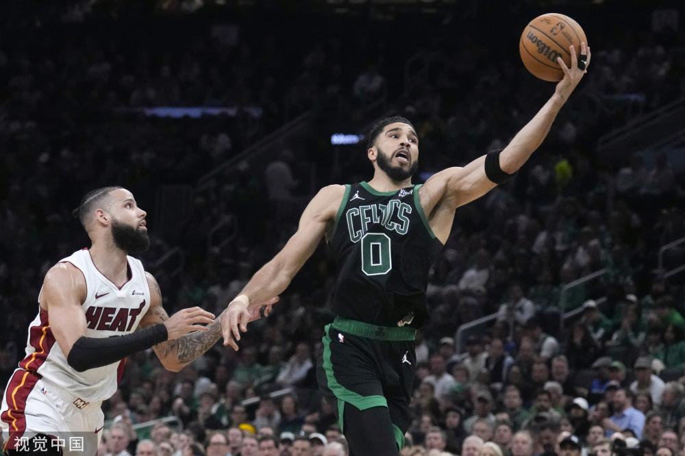 其职业生涯 其职业生涯